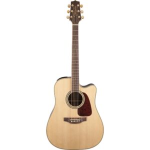 Takamine GD71CE N