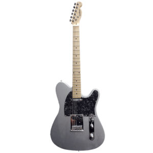 Guitarra Waldman GTE-100T SV | Tele | Silver
