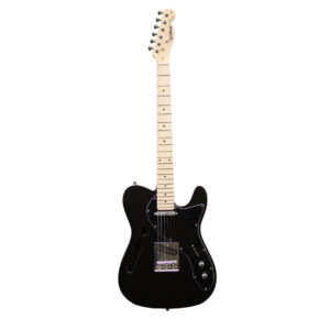 Guitarra Waldman GTE-300 BKM | Tele | Black