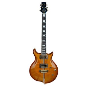 Guitarra Carrozza Stella Deluxe | Case | Honey Burst