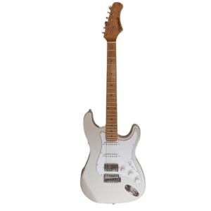 Guitarra Waldman ST-311X SV | HSS | Com Bag | Silver