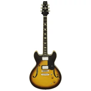 Guitarra Aria Pro 2 TA-CLASSIC BS | Brown Sunburst