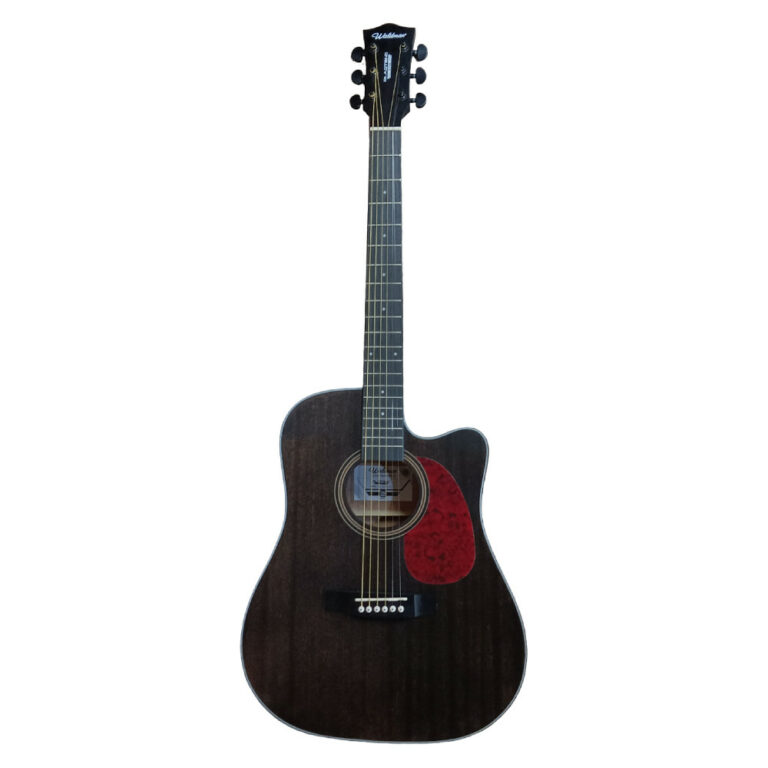 Violão Waldman DCEX-441 BK | Folk | EQ | Black