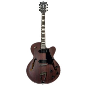 Guitarra Waldman GHJ190 RDM | P-90 | Full Hollow