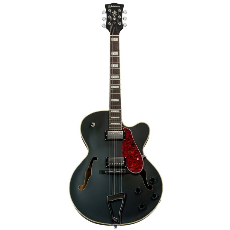 Guitarra Waldman GHJ220 BKF | Full Hollow | Black Flat