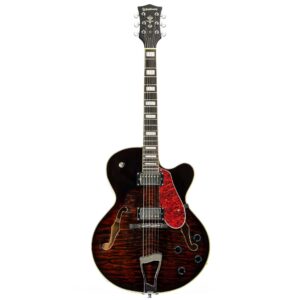 Guitarra Waldman GHJ220Q BR | Full Hollow | Brown Burst