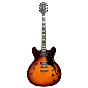 Guitarra Waldman GHO100 VS | Semi Hollow | Vintage Sunburst