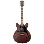 Guitarra Waldman GHO190 RDM | Semi Hollow | P-90