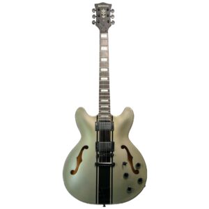 Guitarra Waldman GHO220S GP | Semi Hollow | Prata