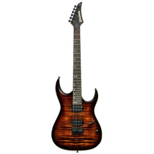 Guitarra Waldman WGA220F SB | HH | Fixa | Sunburst