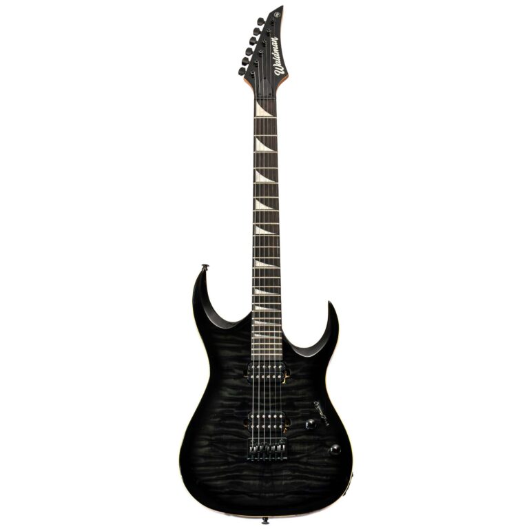 Guitarra Waldman WGA220QX BK | HH | Black