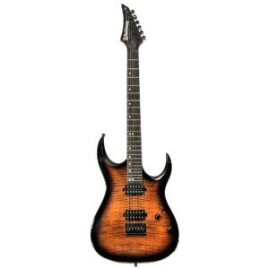 Guitarra Waldman WGAR220F BR | HH | Fixa | Brown