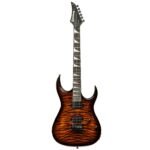 Guitarra Waldman WGAR220QX SB | HH | Sunburst