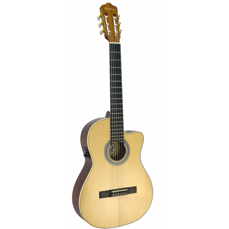 Violão Waldman CLCEX1010 N | Nylon | EQ | Natural