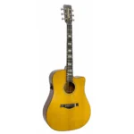 Violão Waldman DCEX-2041 YL | All Solid | Folk | Yellow