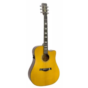 Violão Waldman DCEX-2041 YL | All Solid | Folk | Yellow