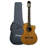 Violão Takamine EC132SC | EQ | Nylon | Semi-Case | Natural