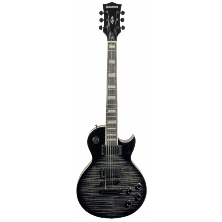 Guitarra Waldman GLP510F BK | LP | Bag | Black