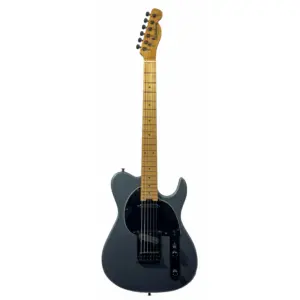 Guitarra Waldman GTE-441X GMS | Tele | Bag | Gun Metal Satin