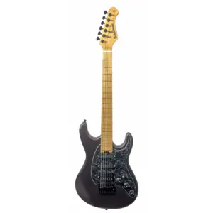 Guitarra Waldman ST-441X COS | Strato | Bag | Copper Satin