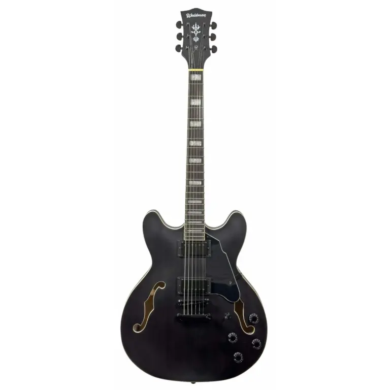 Guitarra Waldman GHO100 BKM | Semi Hollow | Black Matte