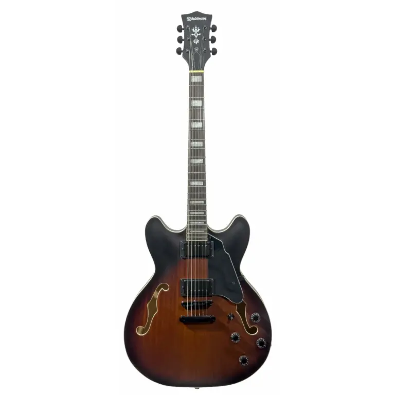 GHO100 VSM