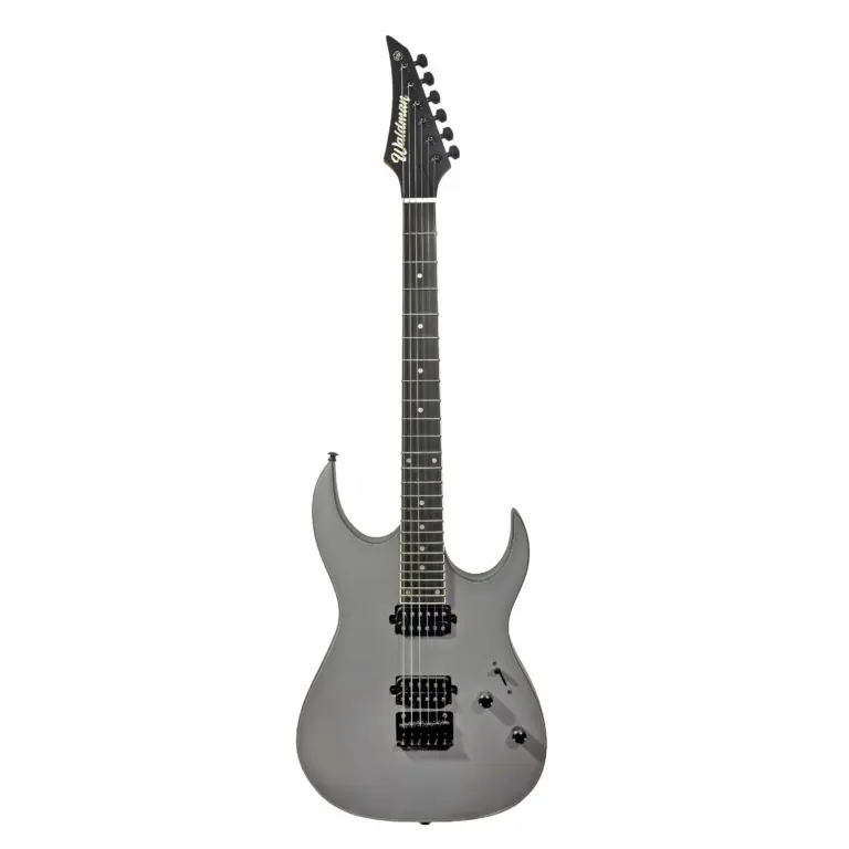 Guitarra Waldman WIGR231X GPS | HH | Gray