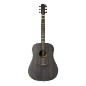 Violão Tagima TBW-100 BK | Folk | EQ | Black (BK)