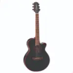 Violão Takamine GF49CE CB | Pré TP3G | Aço | EQ